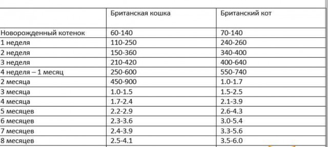 Котёночек опухает. Требуется совет.