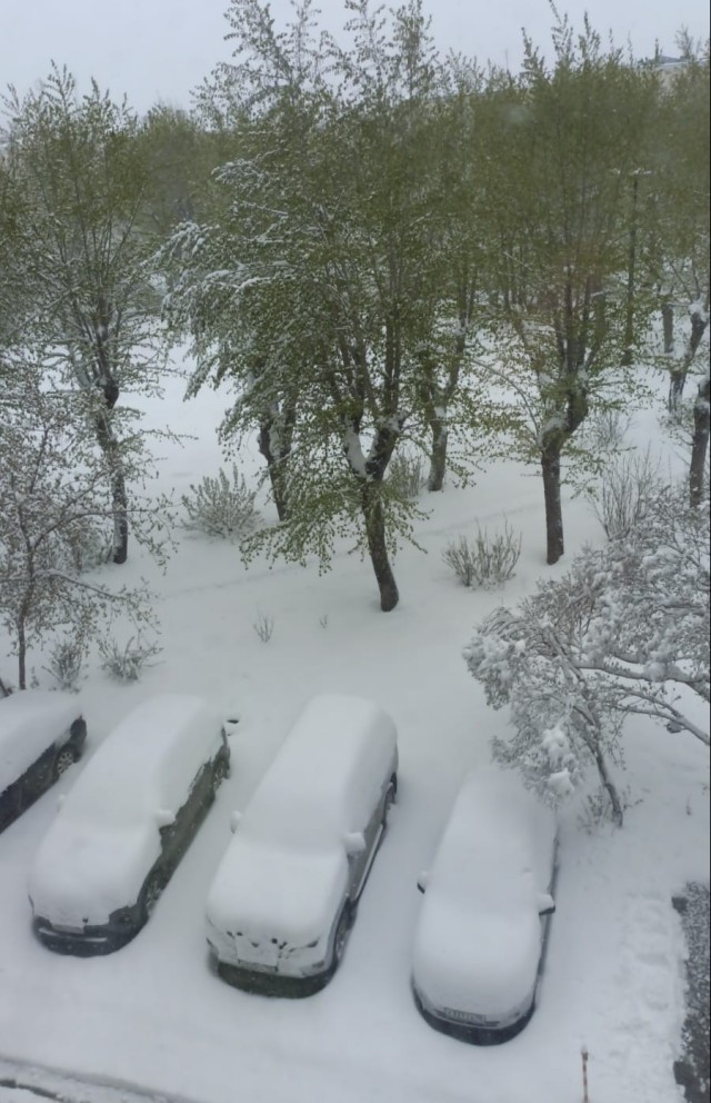 Май, ты чиво наделал?