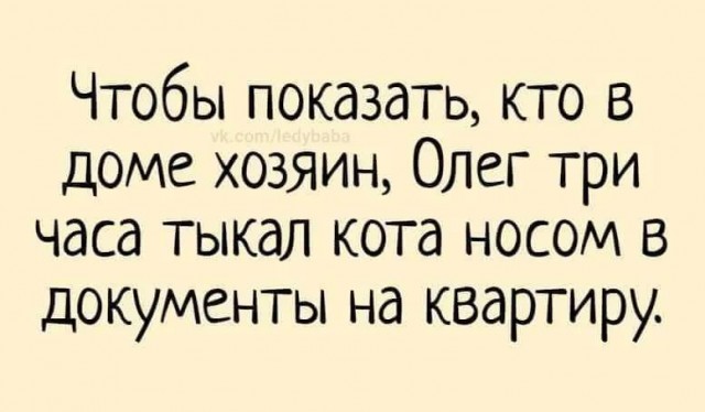 Завалялось тут случайно немного забавных картинок