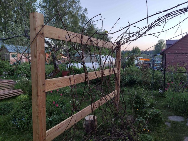 Шпалера для винограда из лиственницы без единого гвоздя