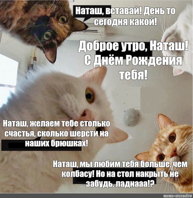 Мем наташа и коты с днем рождения