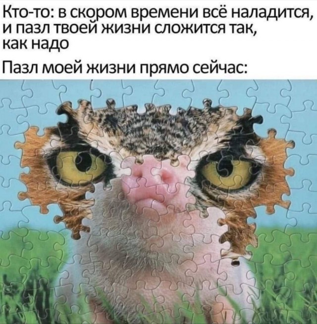 LOLтиночки