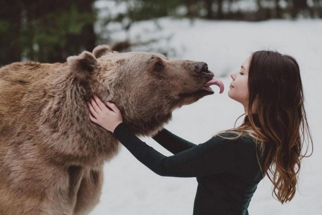 ФотоВинегрет