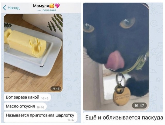 Всего понемногу. От 05.07.24