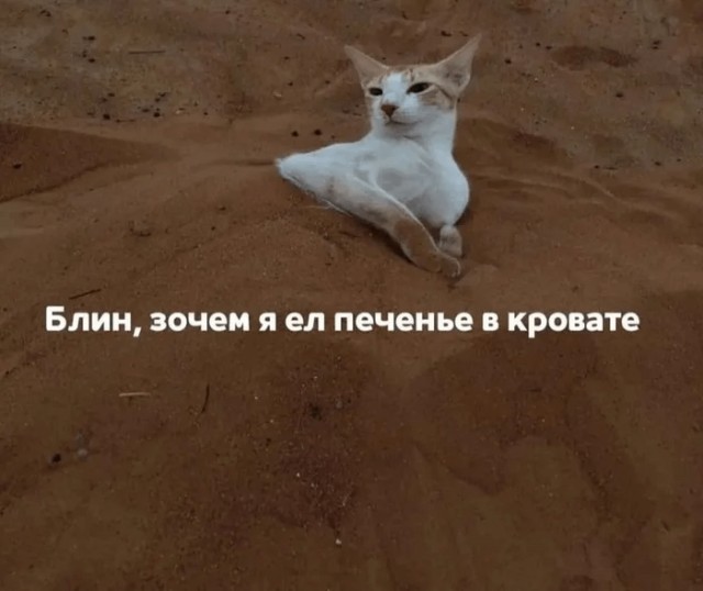 Так себе картинки 16.07.24