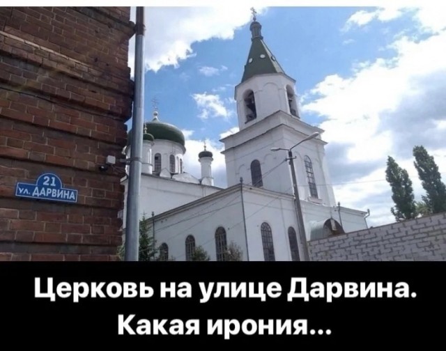 В РПЦ поддержали идею исключить теорию Дарвина из школьной программы