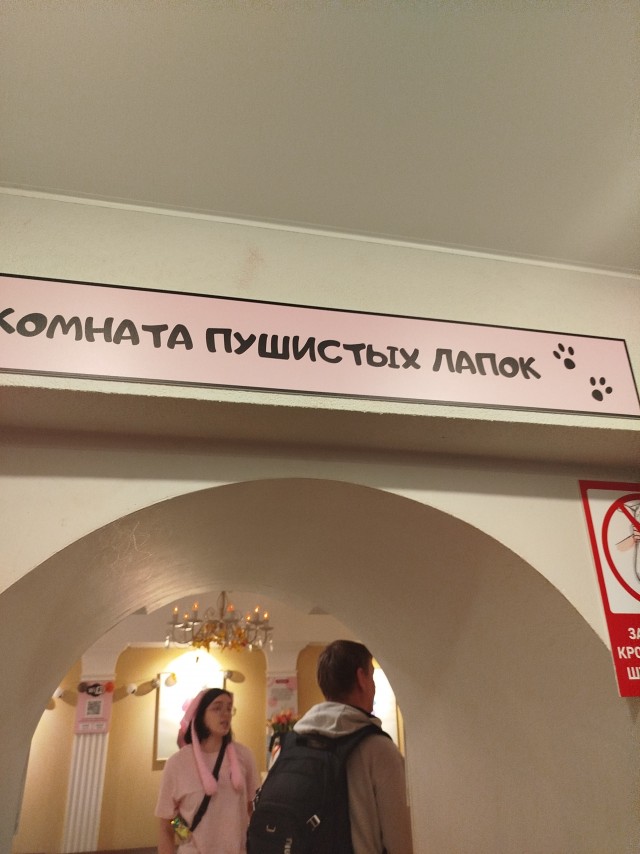 Кафе с капибарами