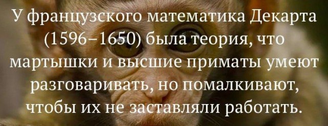 Картинки разные с надписями и без