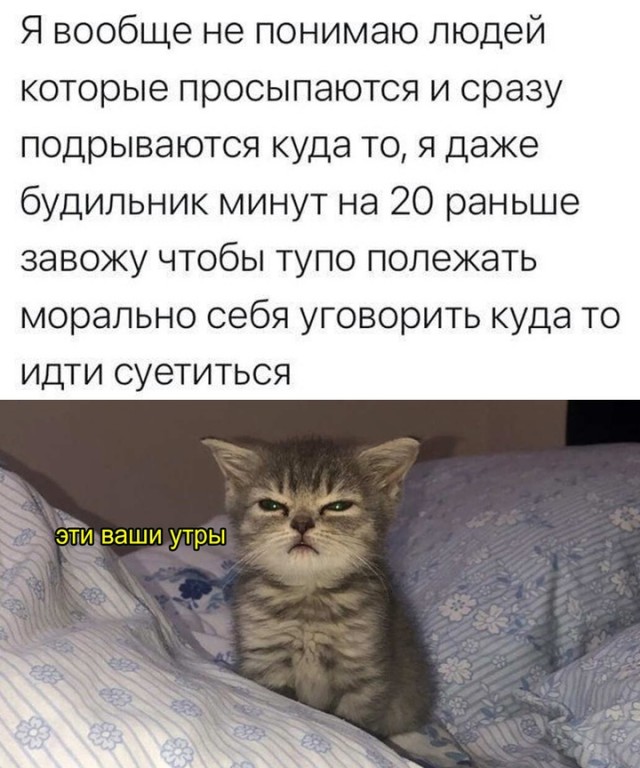 Весёлый полтишок 31.12.24