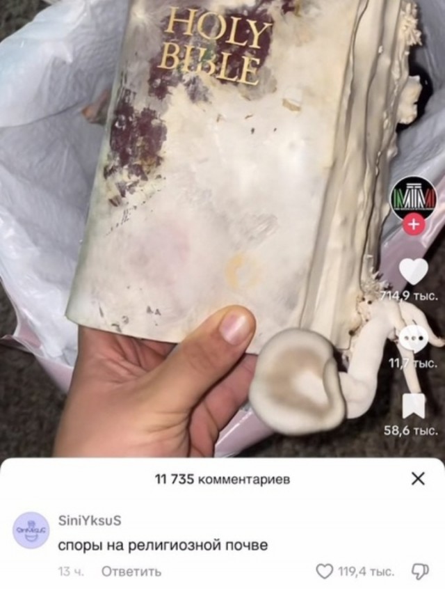 Картинки на 4 января