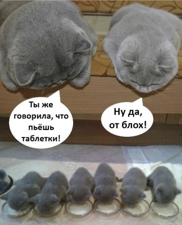 Настоящие мужчины существуют