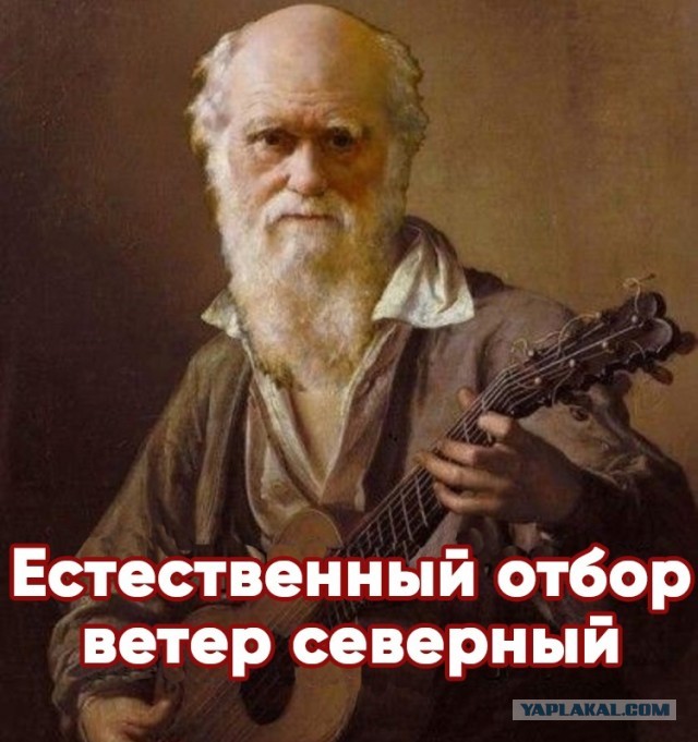 Модель с переломами рук, ног и позвоночника нашли на обочине дороги в Дубае