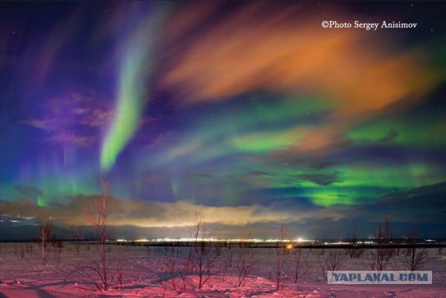 Красота! Лето на Ямале. Фото