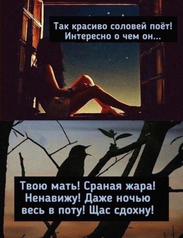 Прикольные и просто красивые картинки 08.05.2025