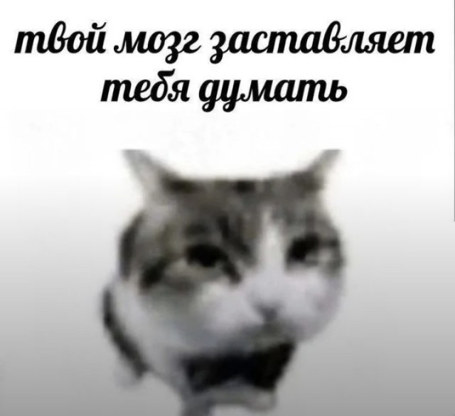 Еб**ины