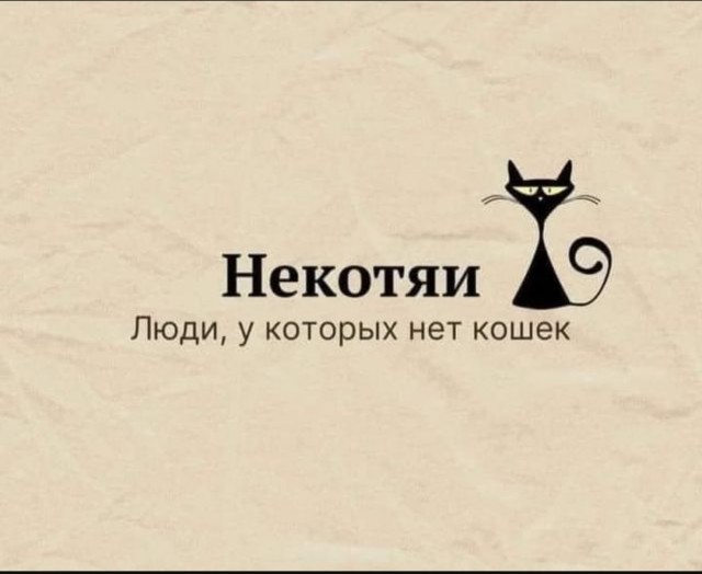 Юмор для тех, кто уже повзрослел и понял, что «выходные» — это просто два дня на уборку