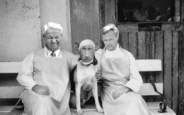 Картинки для деградации 10 (разной степени свежести)