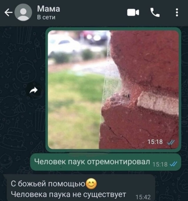 Картинки для деградации 17 (разной степени свежести)