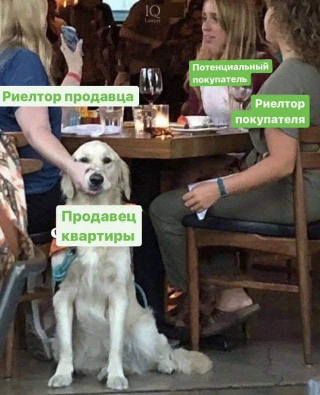 Веселые картинки в понедельник (29.09)