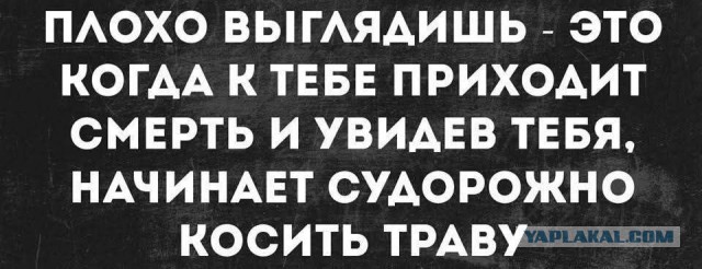 Картинки для деградации 90 (разной степени свежести)