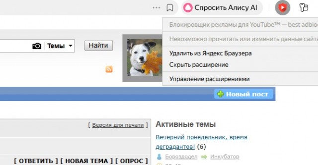Компьютерная помощь