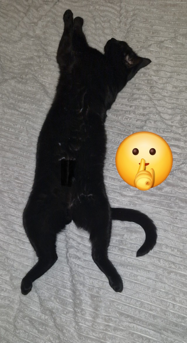 Котское.