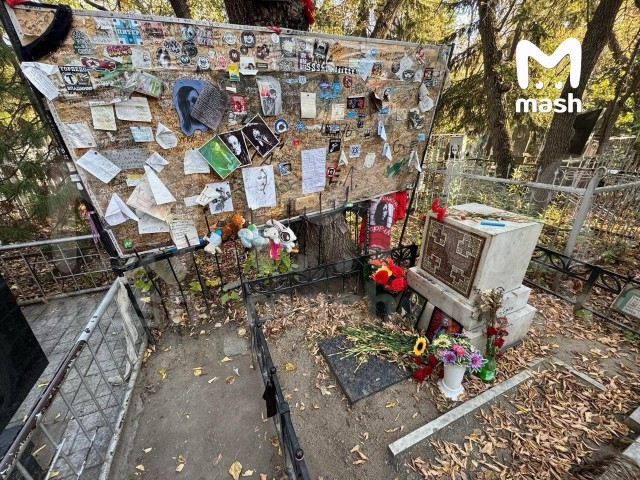 Свиную голову с надписями на латыни подложили к могиле музыканта Егора Летова в Омске.