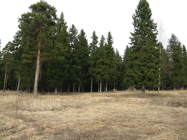 Деревенская Америка