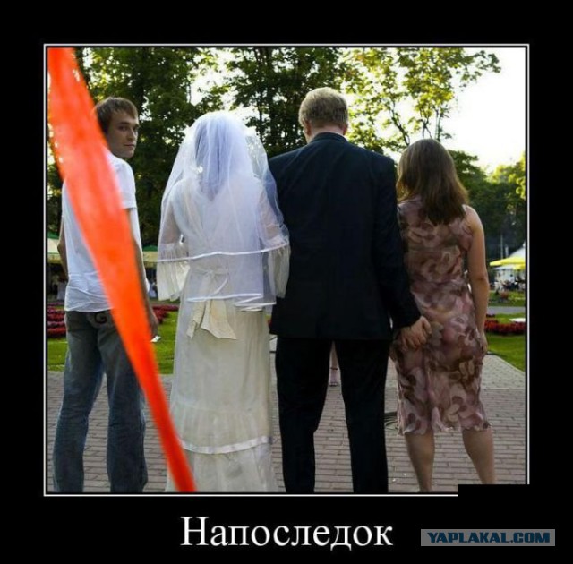 С миру по нитке. Демотиваторов чуть