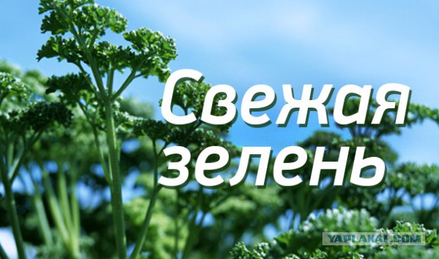 Когда вы плюсуeтe тему в платине