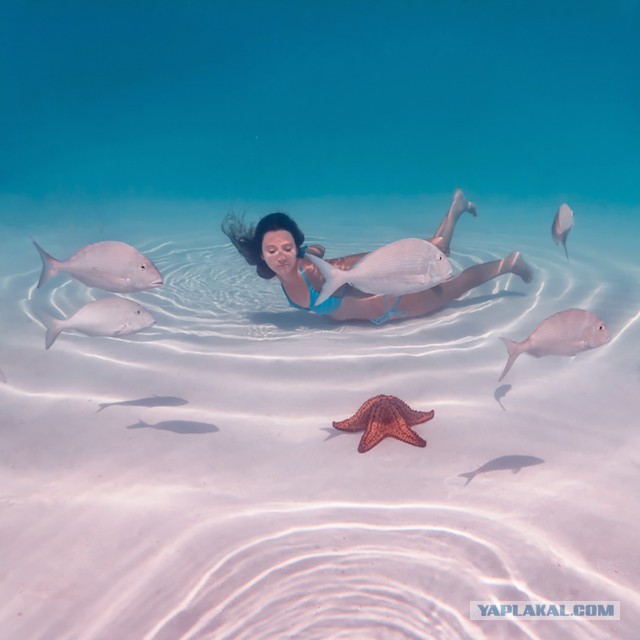 Завораживающие снимки с "подводной девушкой"