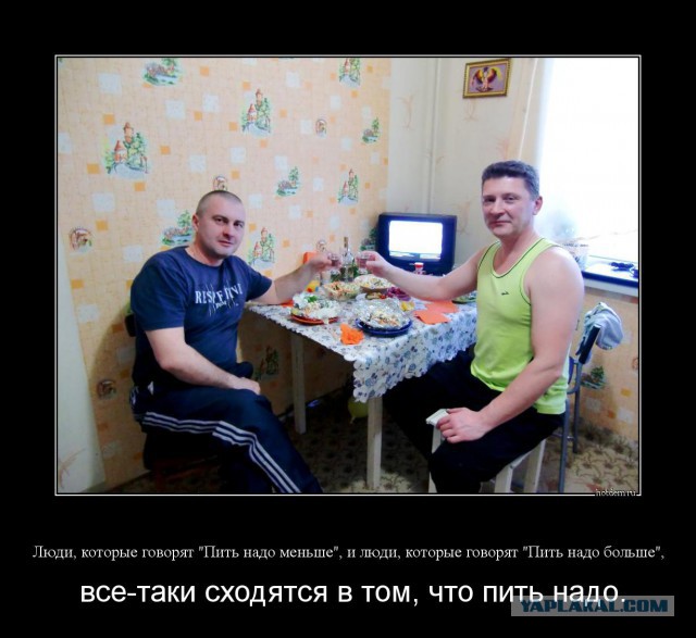 Демотиваторы из домашнего архива фоток.