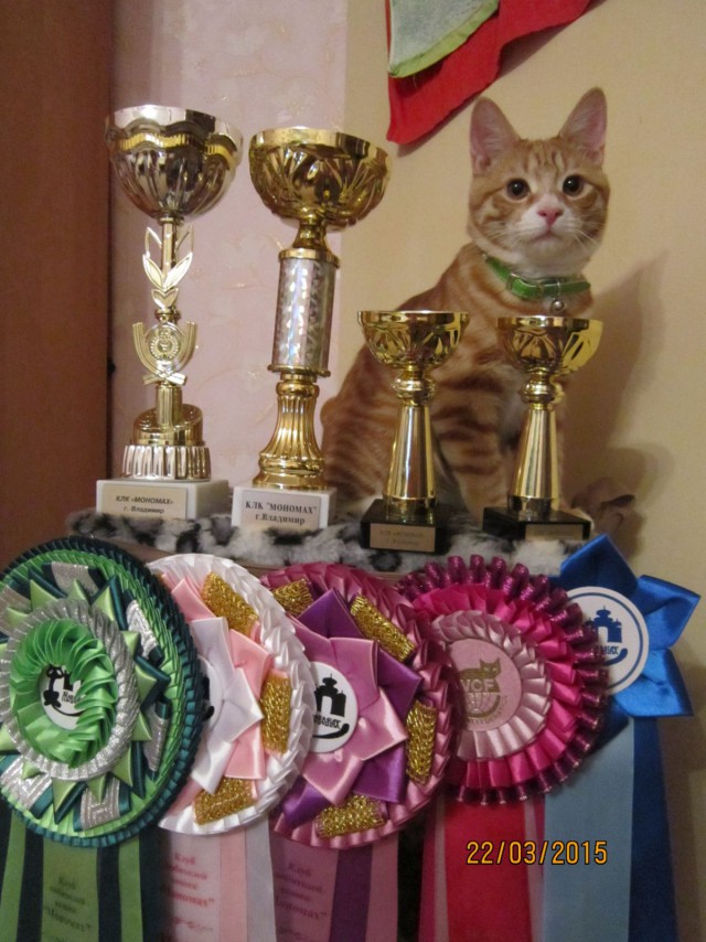 Биатлон сезон 2014/2015 часть 6.