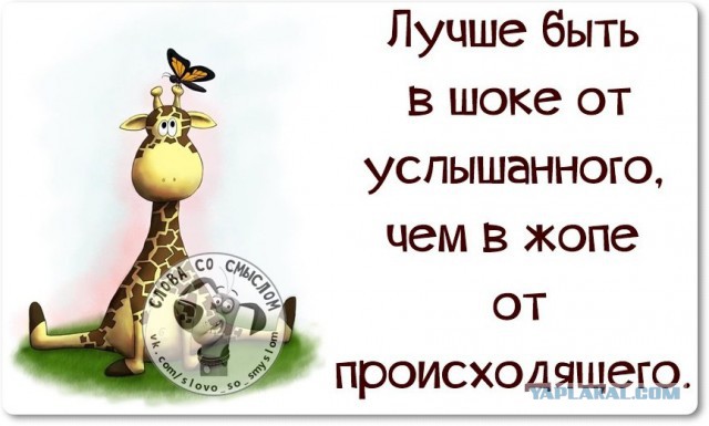 Веселые жизненные наблюдения из Вредного журнала