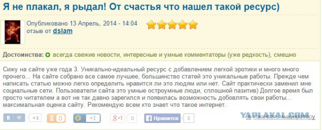 3 категории критиков ЯП