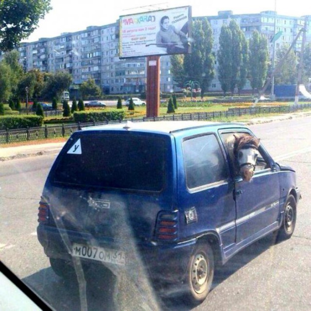 Автоприколы-15