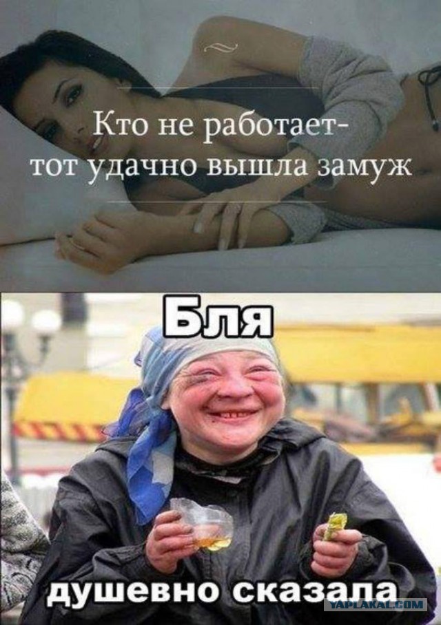 Прикольные фото и картинки