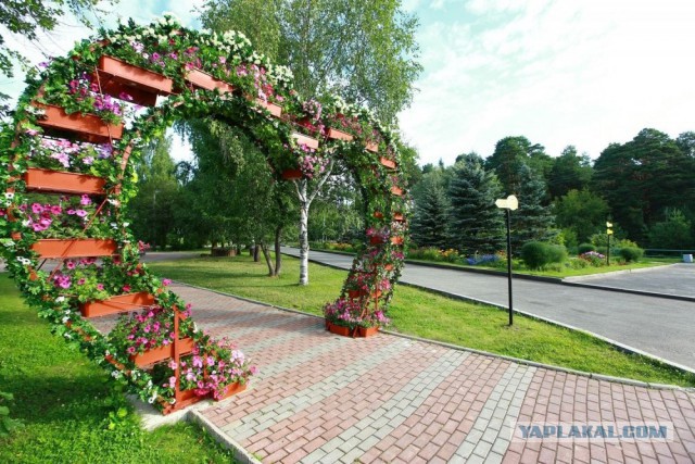Ылитный отдых в курятнике.