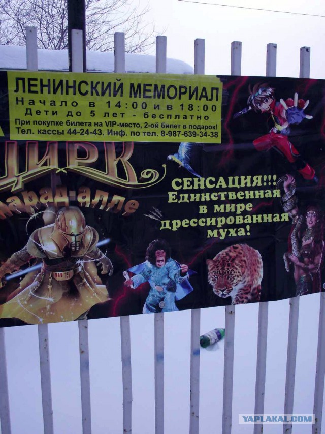 Народные перлы