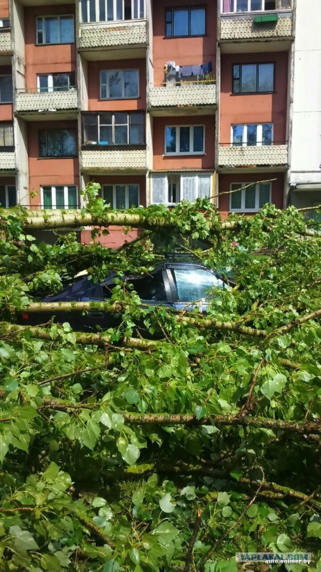 Тачки разбитые ураганом в Минске сегодня. Оригинальные отборные фото!