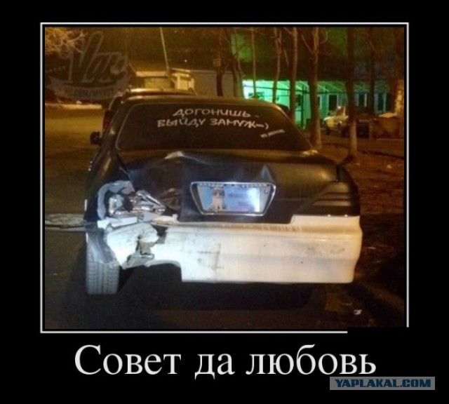 Сборная солянка картинок из разных соц.сетей