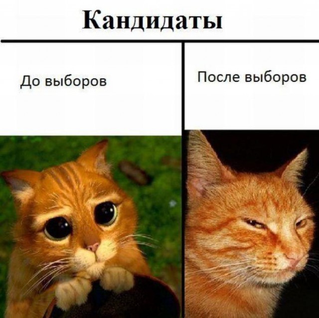 Смешные картинки