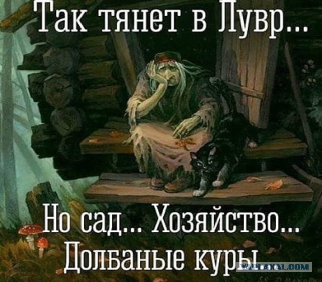 Все друг друга поняли (Смехопанорама)