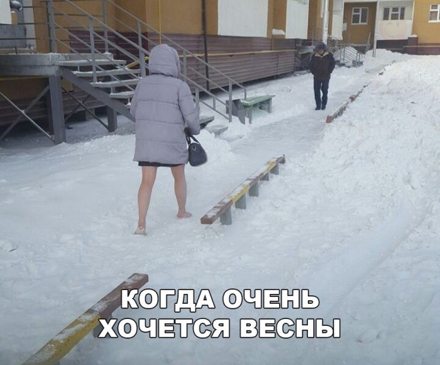Подборка безудержного веселья