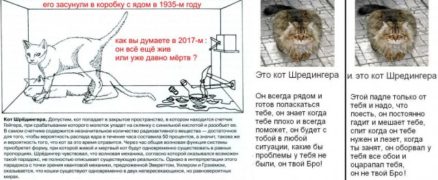 В Китае осуществили квантовую телепортацию на расстояние 1,2 тысячи километров