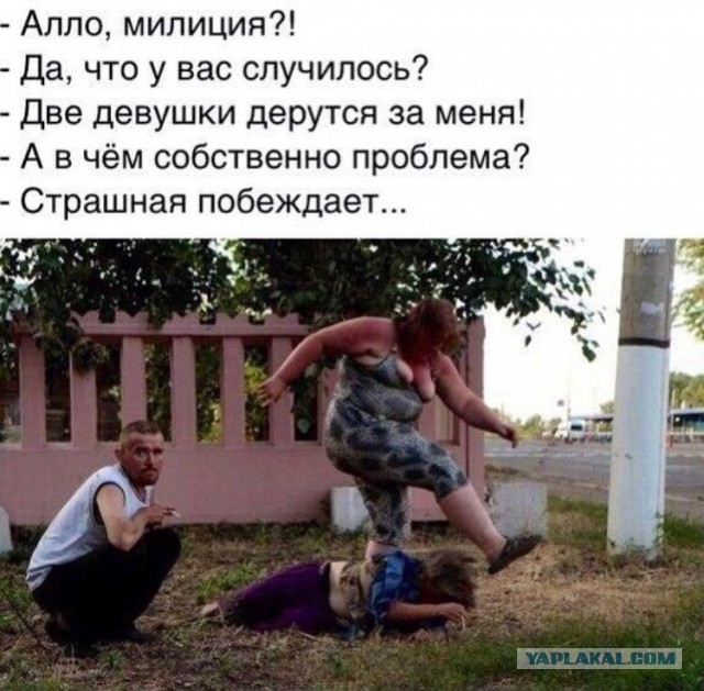 Прикольные картинки 19.06.2017.