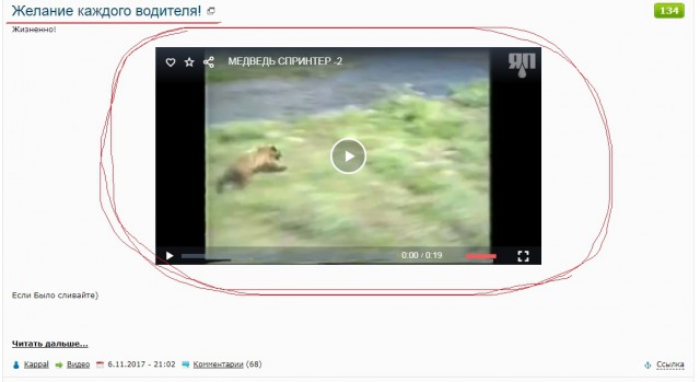 Можно ли убежать от медведя?