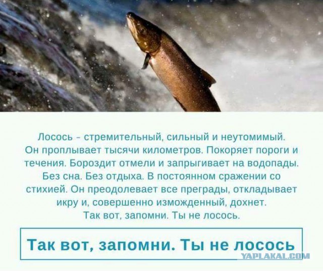 В Новой Москве пятиклассник сломал позвоночник на уроке физкультуры