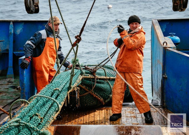 Рыбаки в Японском море: Прибрежный промысловый лов минтая в заливе Петра Великого в Приморском крае