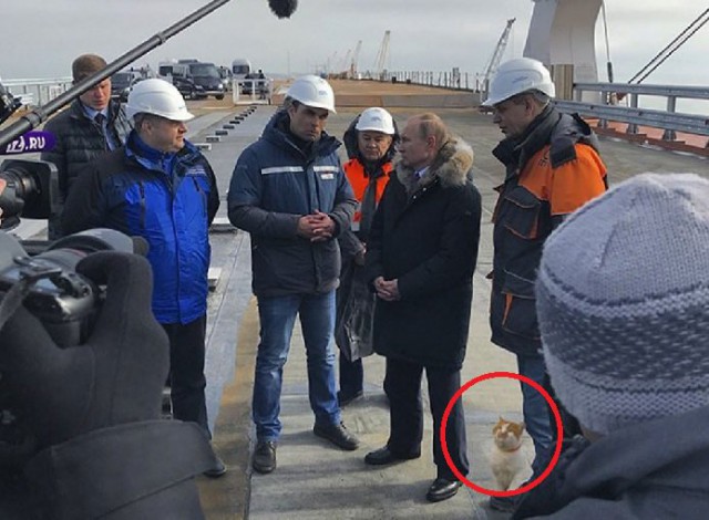 "Спец" по Крымскому мосту.